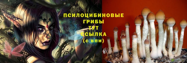 твердый Армянск