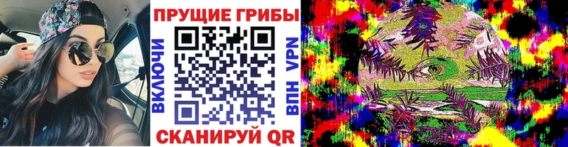 наркота  KRAKEN ССЫЛКА  Псилоцибиновые грибы прущие грибы  Верея 